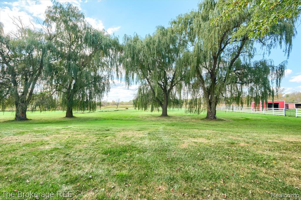 8171 North Linden Road Mount Morris, MI 48458 - Photo 8 of 62