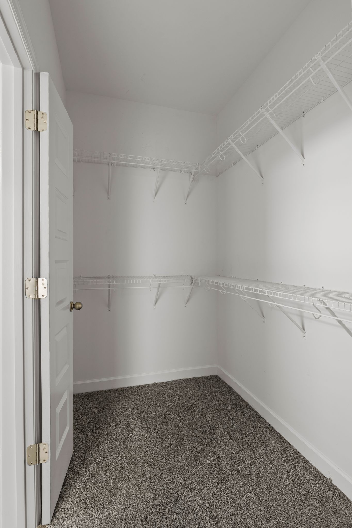 2572 Napa Valley Way Columbia, TN 38401 - Photo 20 of 29