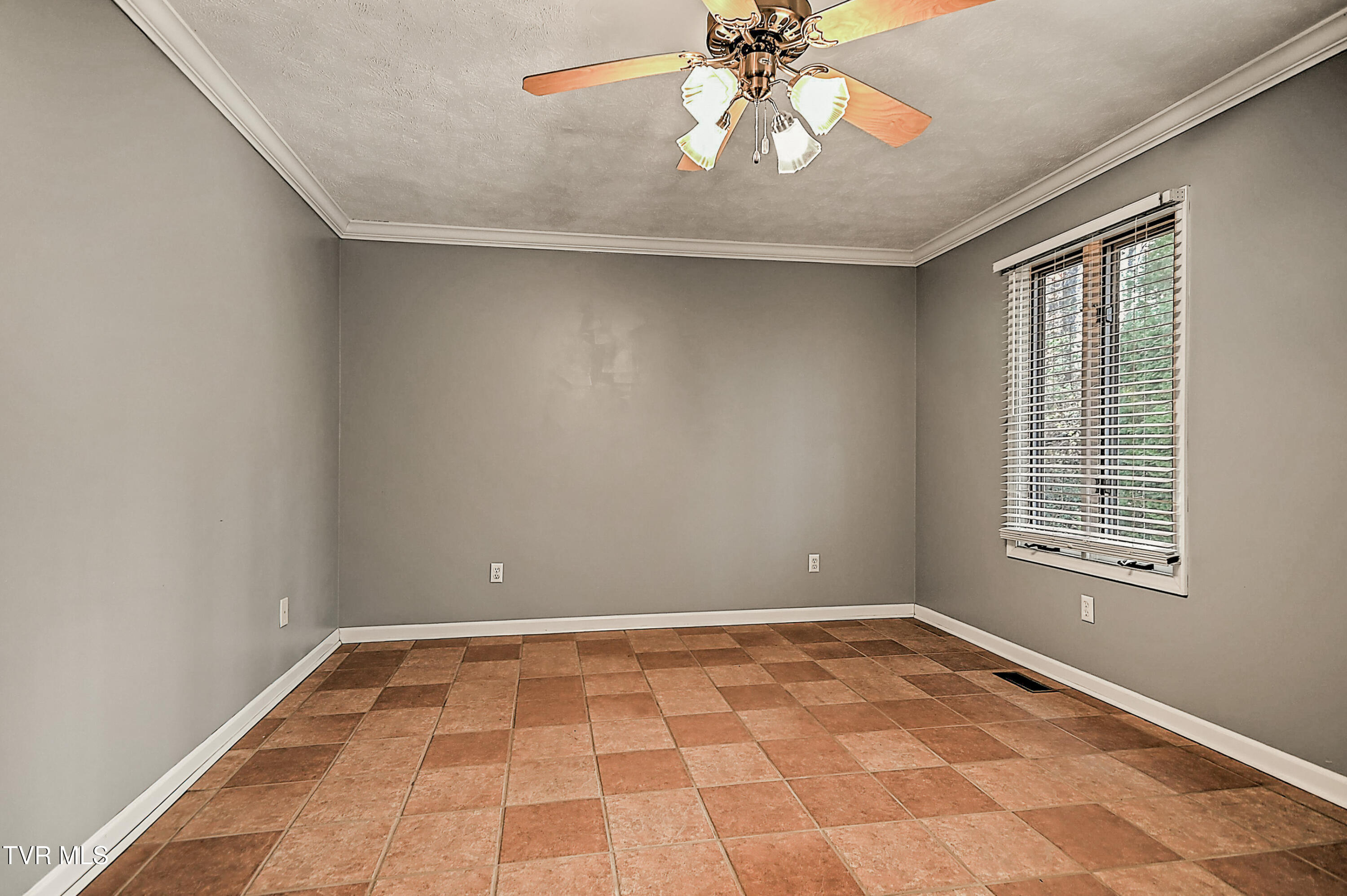 311 Big Springs Road Elizabethton, TN 37643 - Photo 60 of 92 311 Big Springs MP-43