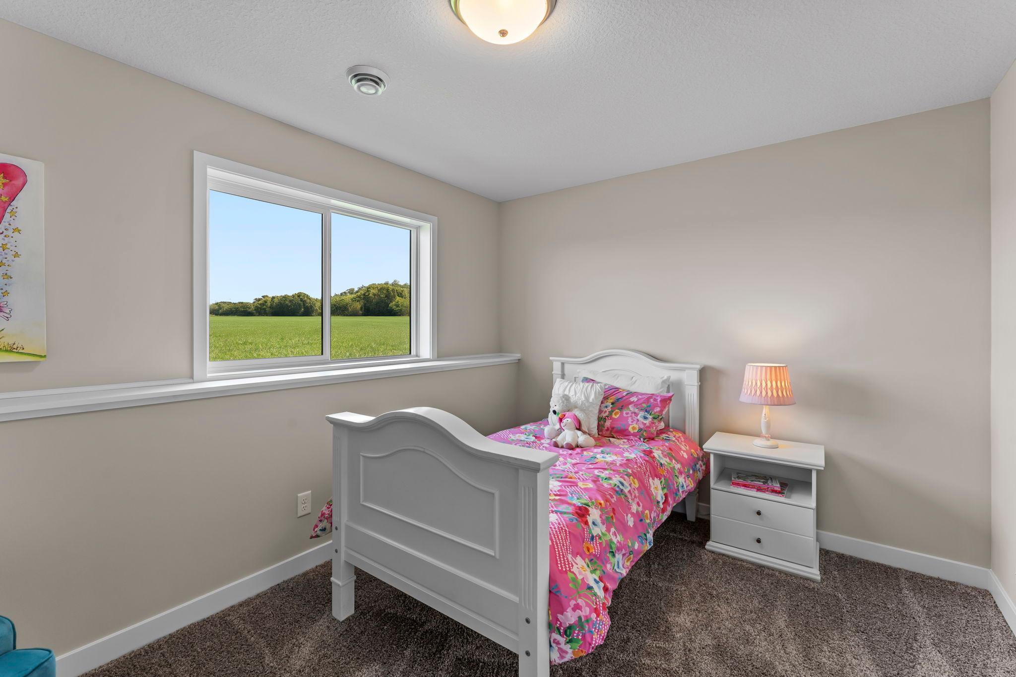 2017 Aster Lane Mankato, MN 56001 - Photo 42 of 51