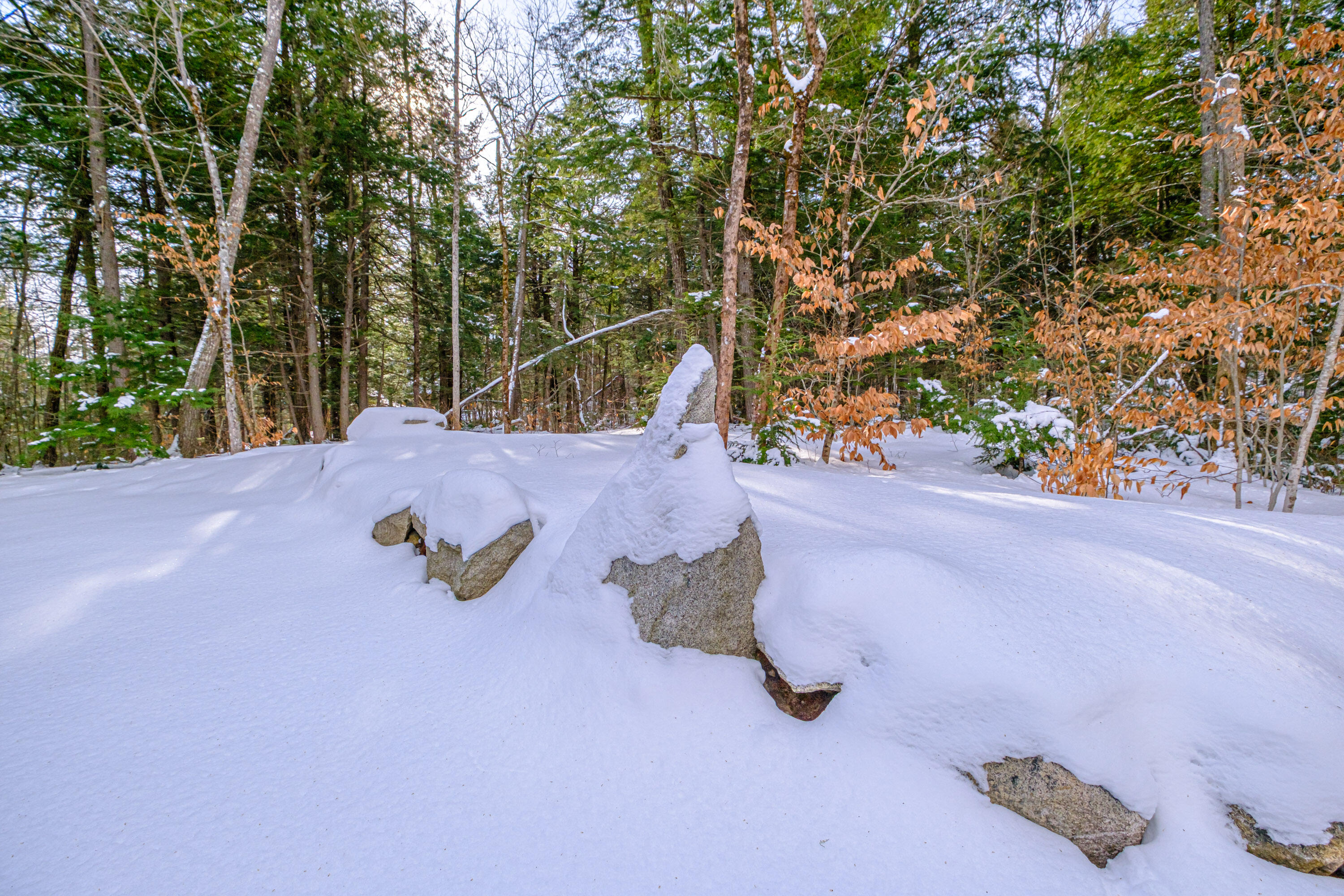 5 Whippoorwill Drive Naples, ME 04055 - Photo 74 of 107 20260123gp-60101