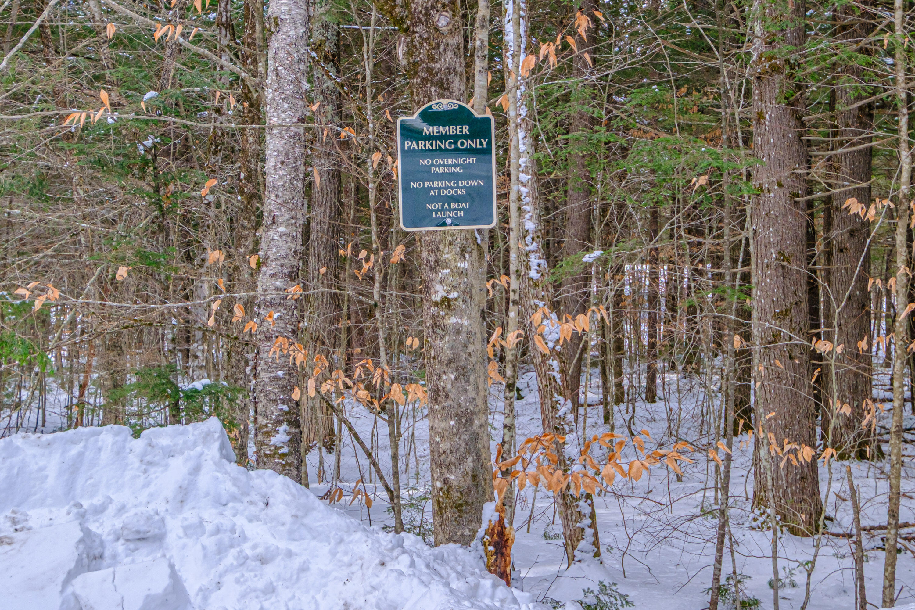 5 Whippoorwill Drive Naples, ME 04055 - Photo 84 of 107 20260123gp-60110