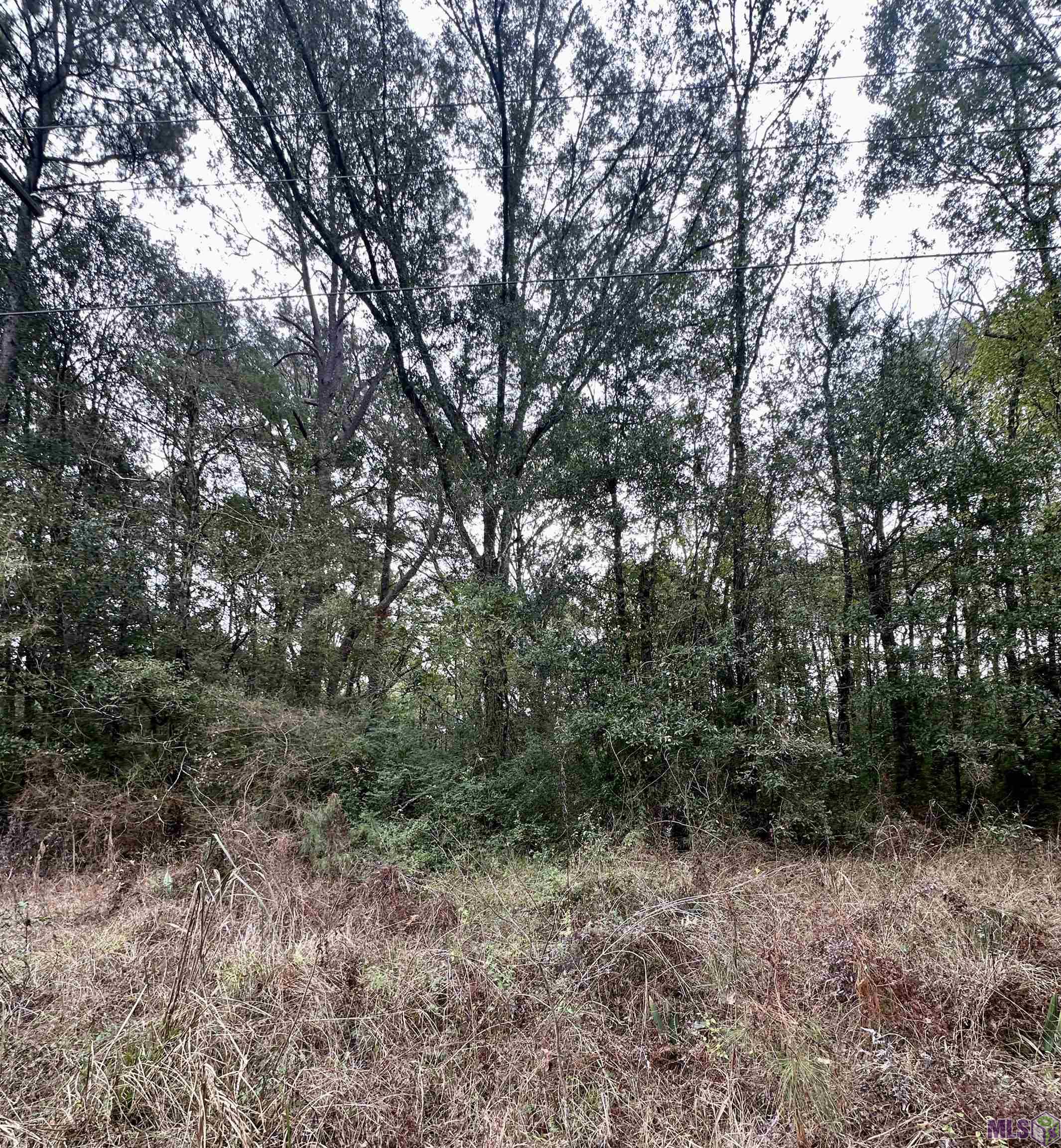 Y-2 B Joor Road Baton Rouge, LA 70811 - Photo 3 of 4 Gallery Image 3