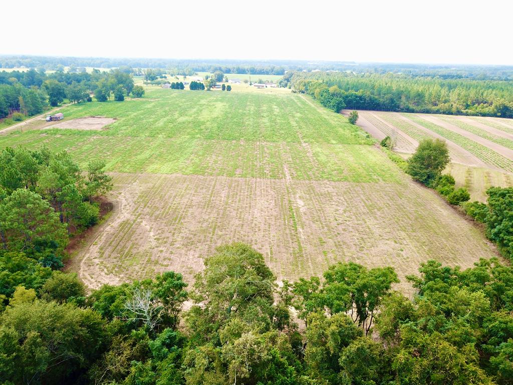 10.69-acres Summer Road Slocomb, AL 36375 - Photo 36 of 51