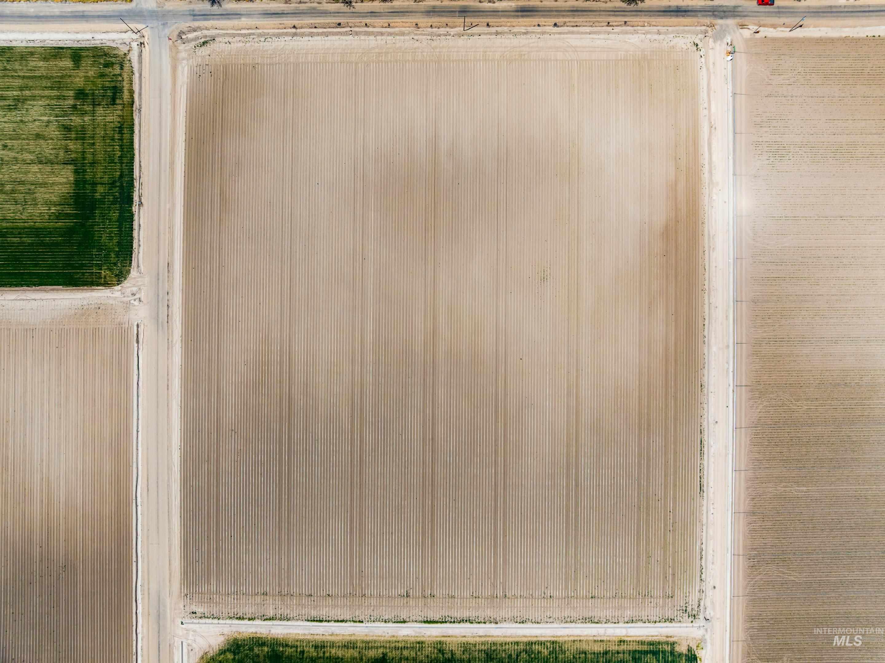 Stephen Lane Parma, ID 83660 - Photo 12 of 30