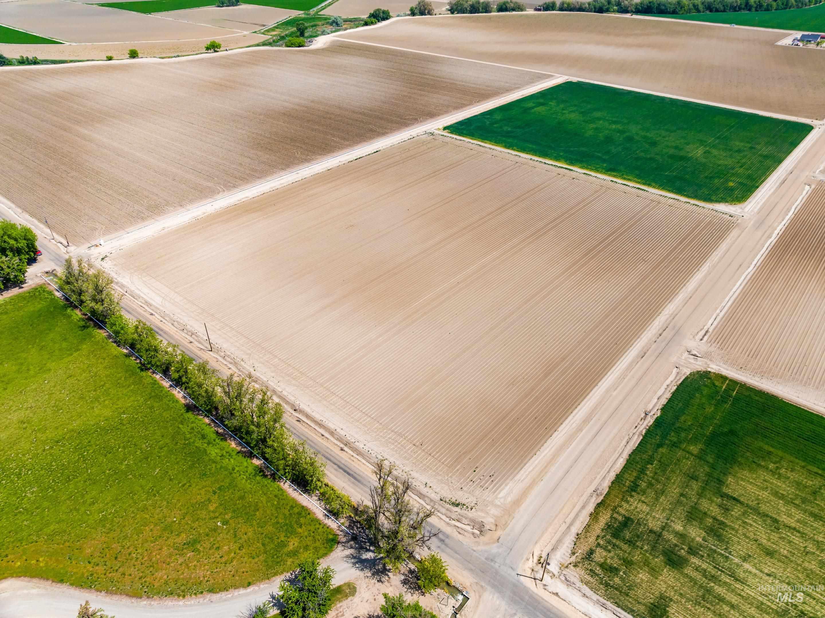 Stephen Lane Parma, ID 83660 - Photo 20 of 31