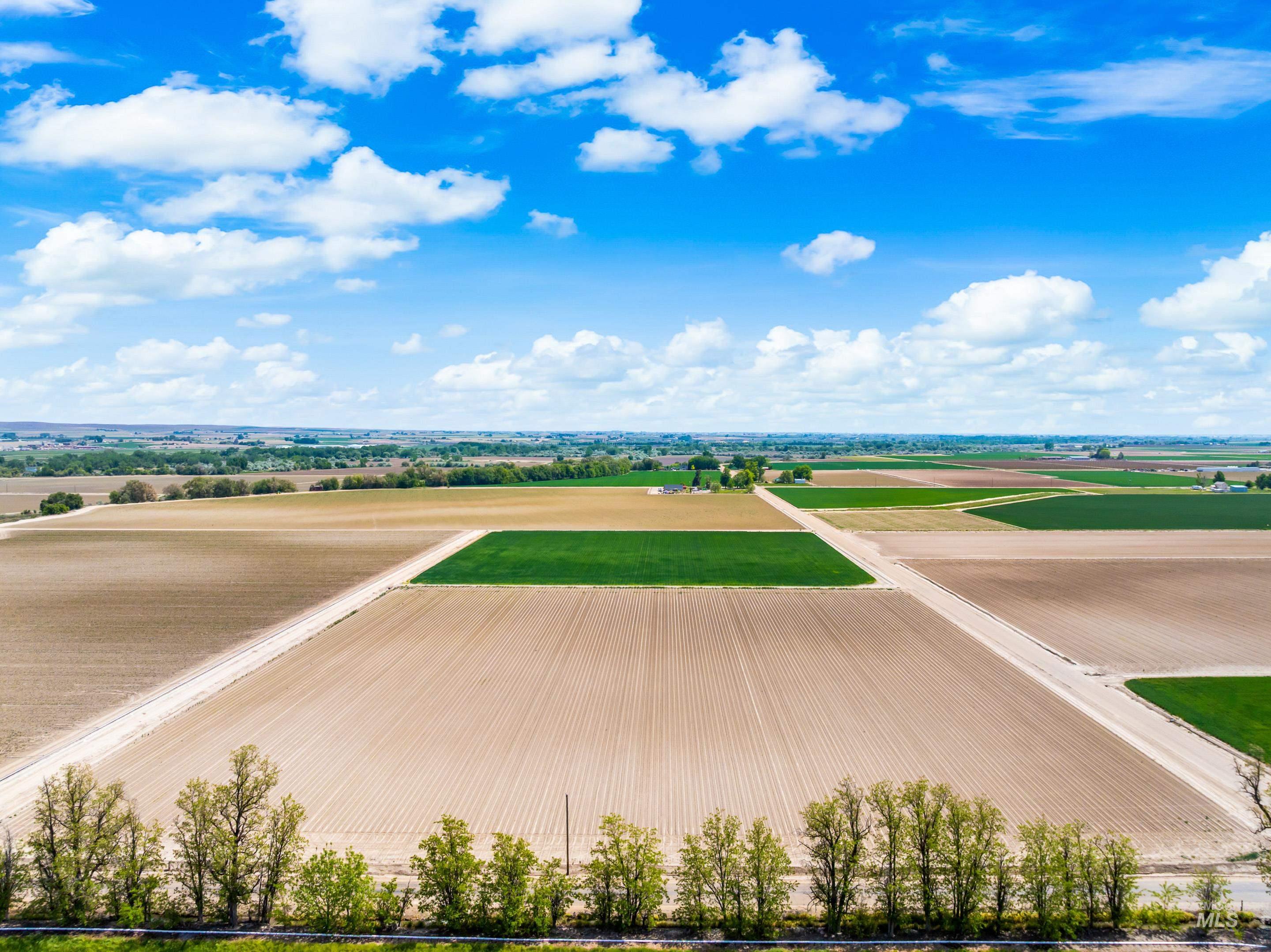 Stephen Lane Parma, ID 83660 - Photo 6 of 31