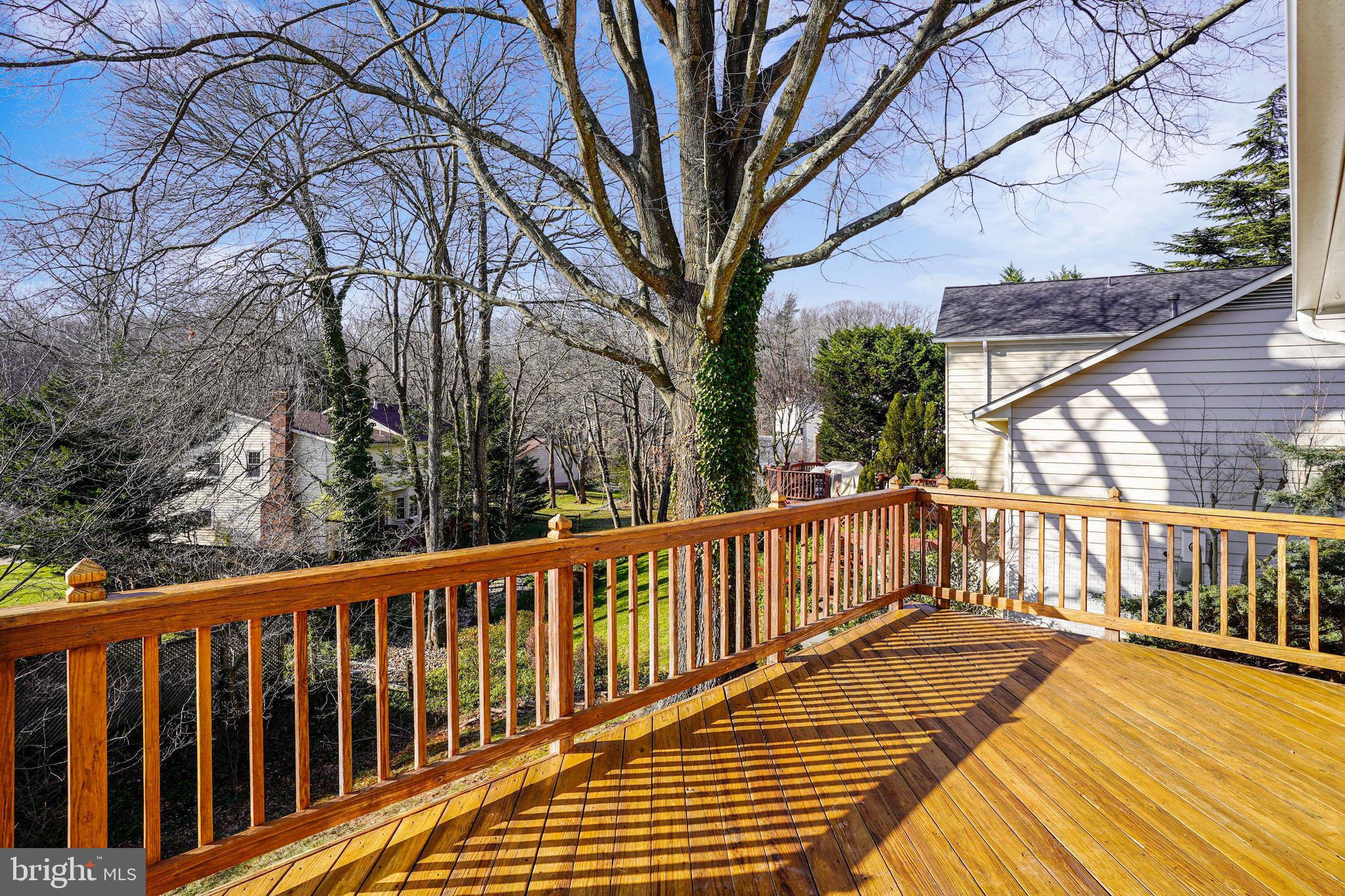 10186 Red Spruce Road Fairfax, VA 22032 - Photo 23 of 60 Deck was recently stained.