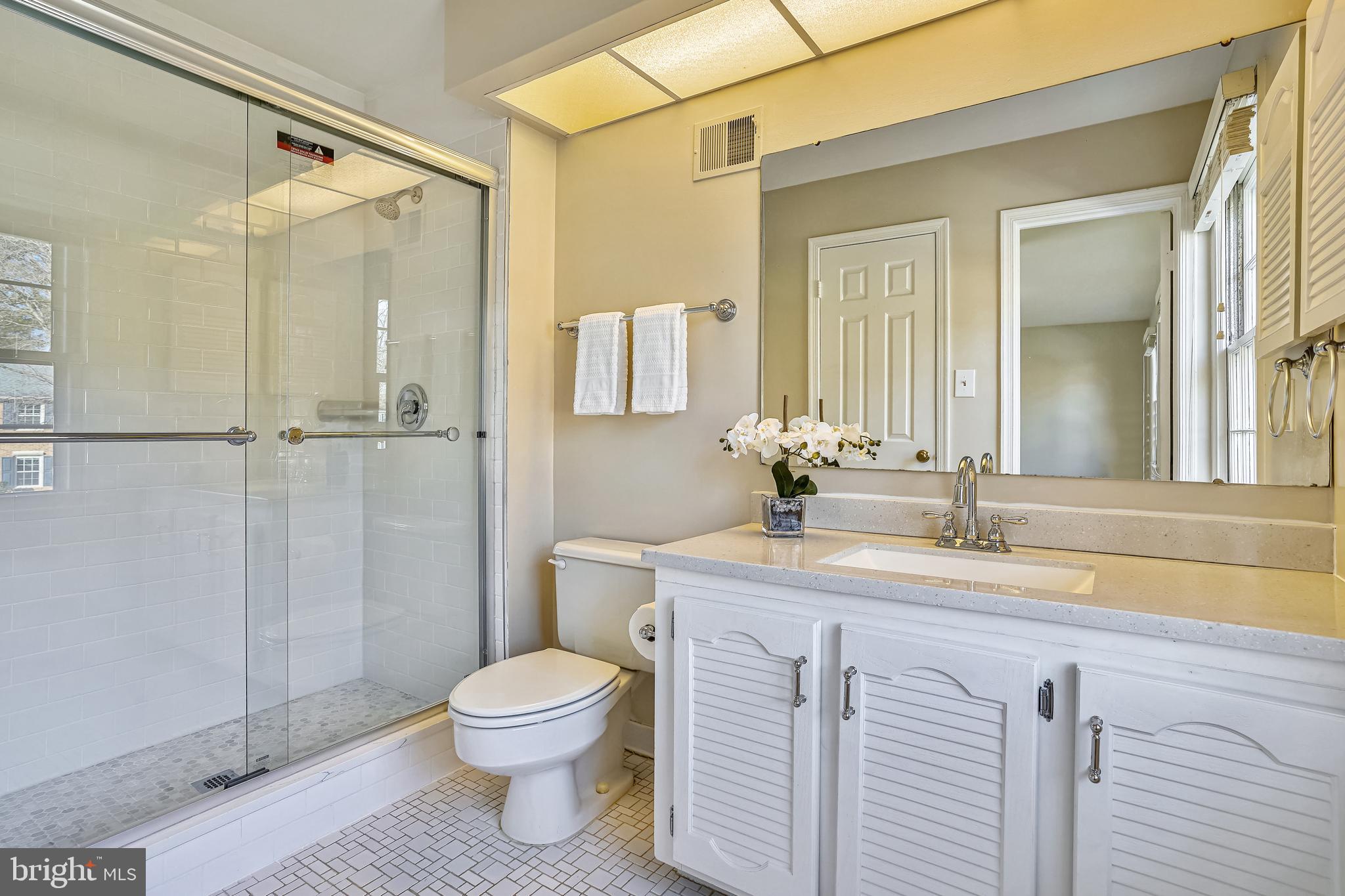 10186 Red Spruce Road Fairfax, VA 22032 - Photo 35 of 60 New shower | new sink | new faucet | linen closet.