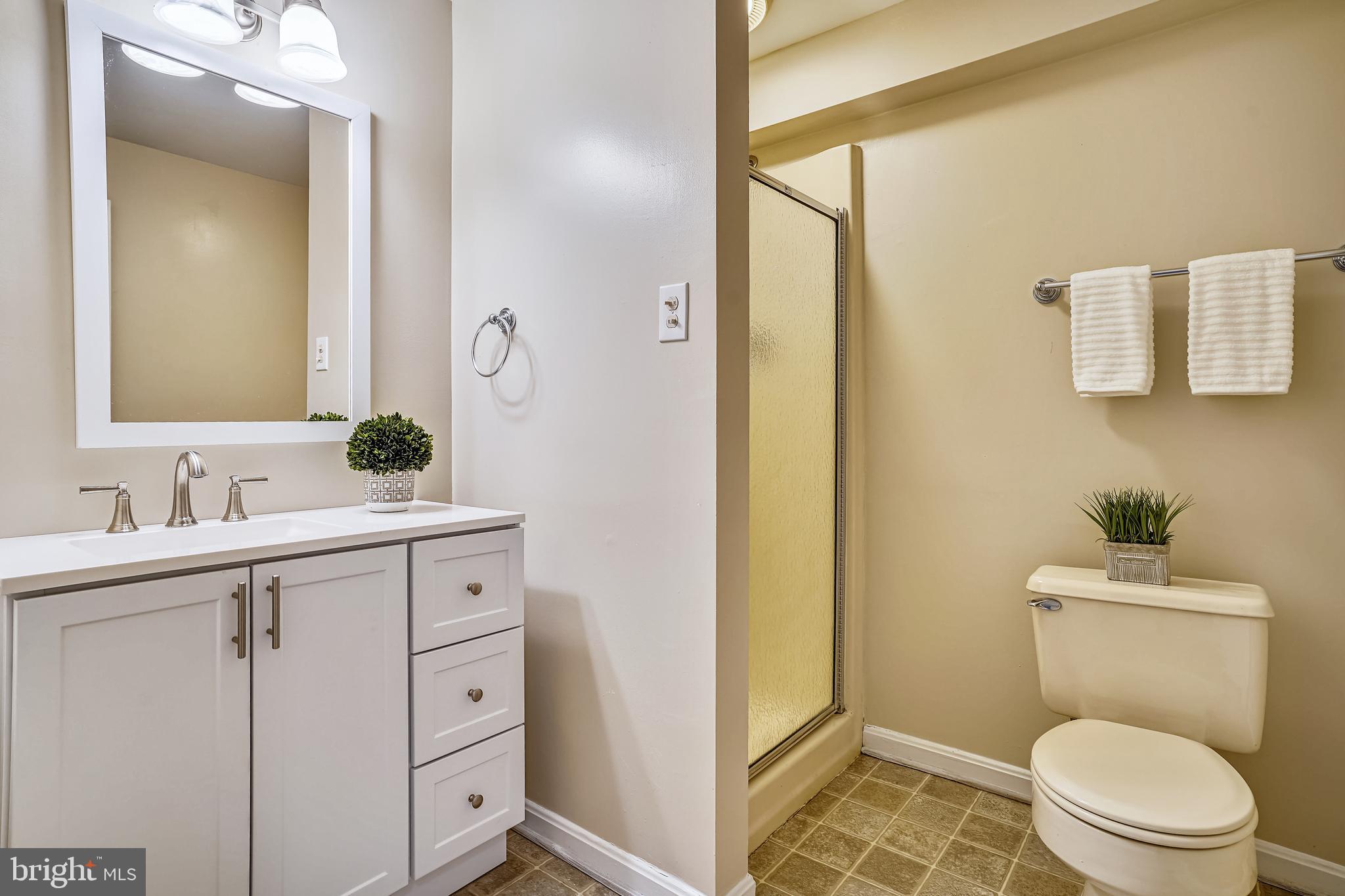10186 Red Spruce Road Fairfax, VA 22032 - Photo 45 of 60 Lower level full bath.