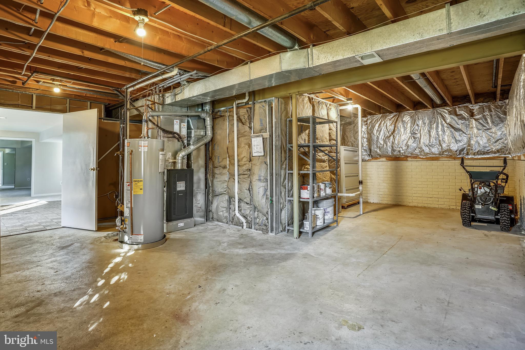 10186 Red Spruce Road Fairfax, VA 22032 - Photo 48 of 60 Expansive storage room!