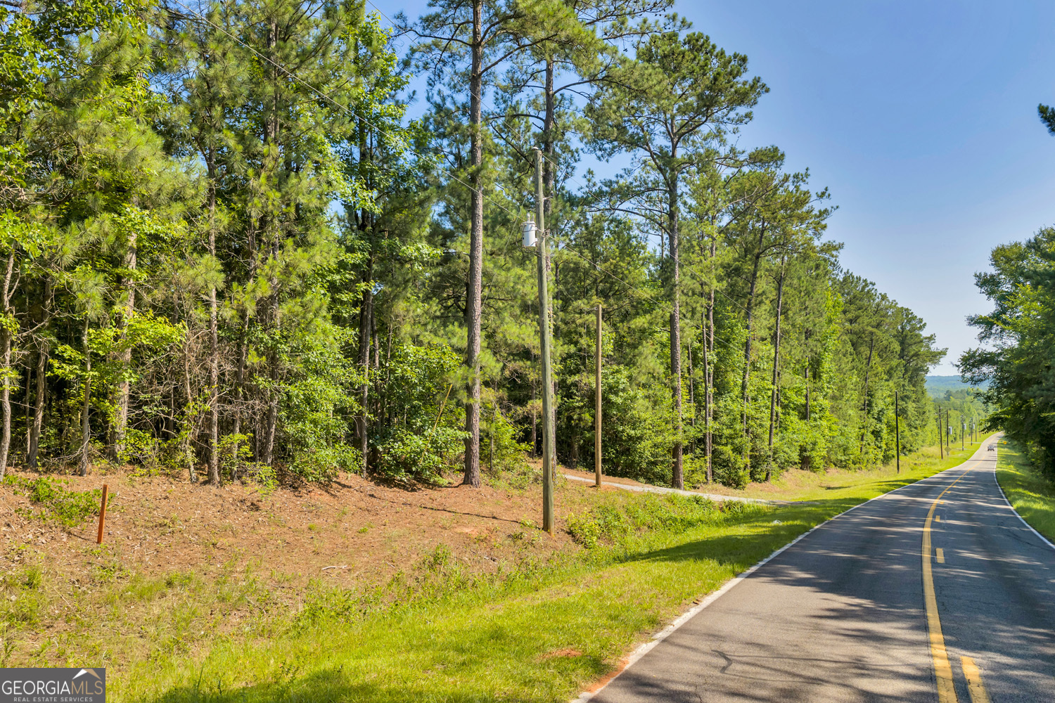 651 Branan Road Toomsboro, GA 31090 - Photo 27 of 53