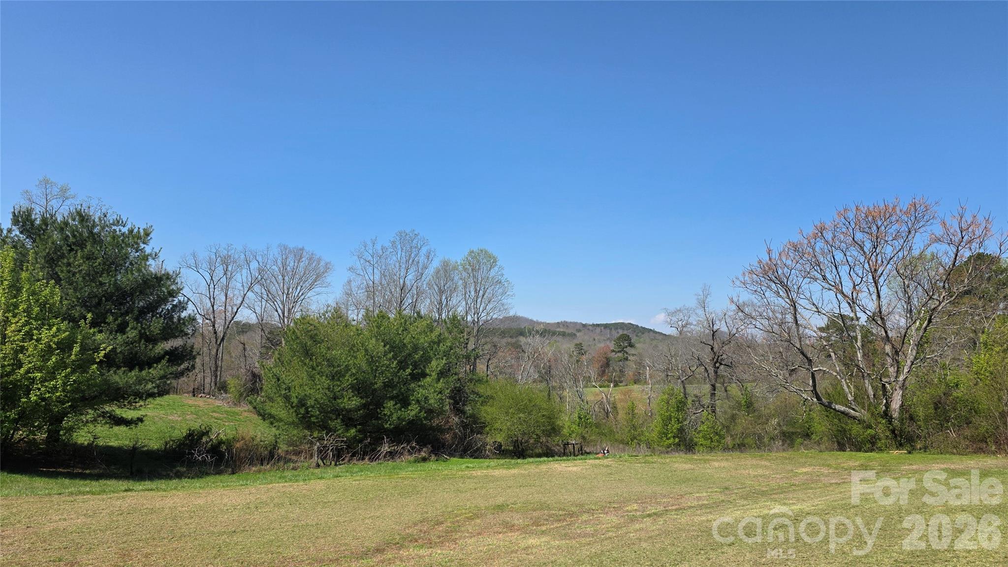 5431 Polkville Road Casar, NC 28020 - Photo 24 of 24 a view of a dry yard with large trees