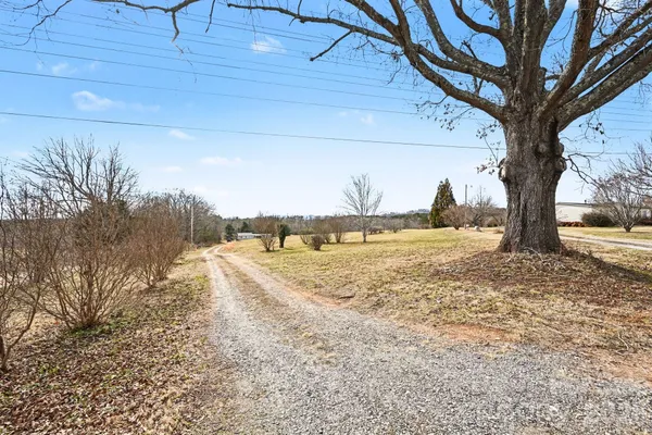 a view of a yard with a tree