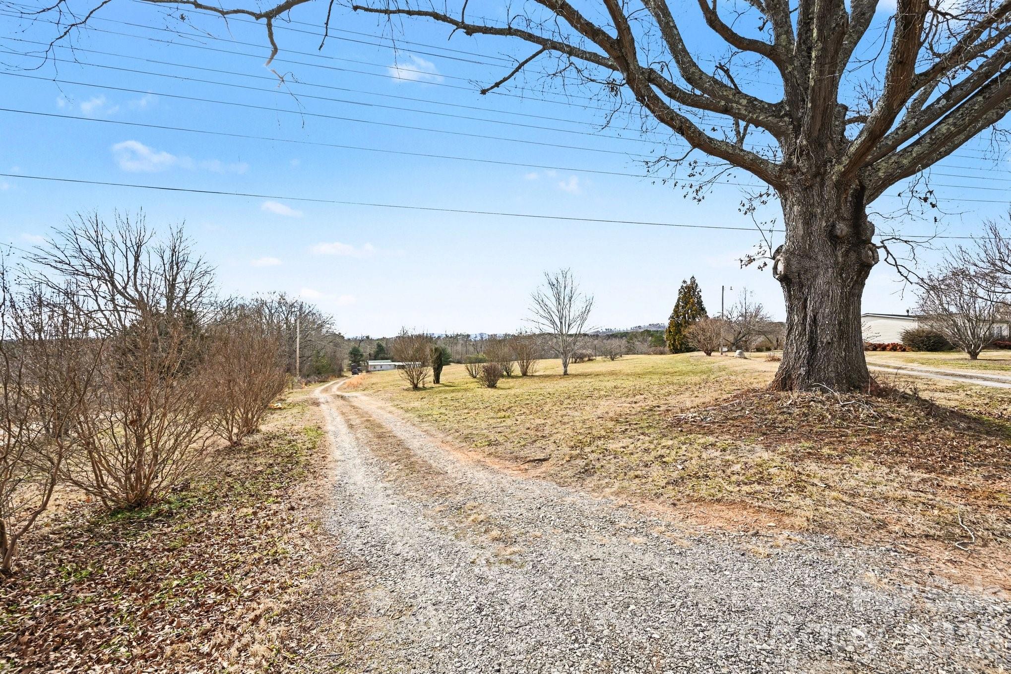 5431 Polkville Road Casar, NC 28020 - Photo 4 of 24 a view of a yard with a tree
