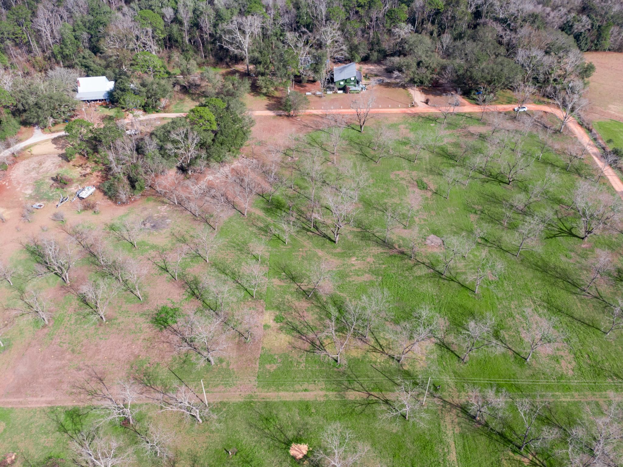 0 Nancy Loop Fairhope, AL 36532 - Photo 6 of 15 overhead of pecan trees