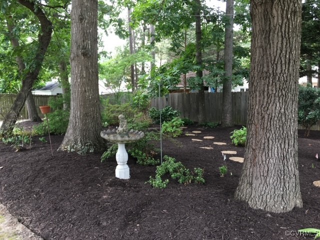 3510 Wood Dale Road Chester, VA 23831 - Photo 40 of 50 a view of a backyard with plants and tree