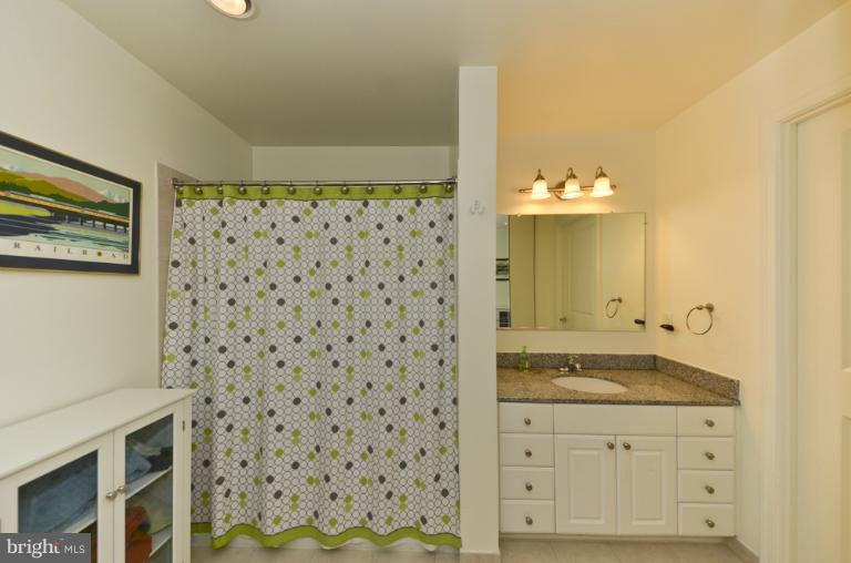 3600 South Glebe Road, Unit 429W Arlington, VA 22202 - Photo 11 of 30 Bath