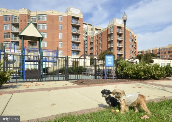 3600 South Glebe Road, Unit 429W Arlington, VA 22202 - Photo 19 of 30 Exterior (Rear)