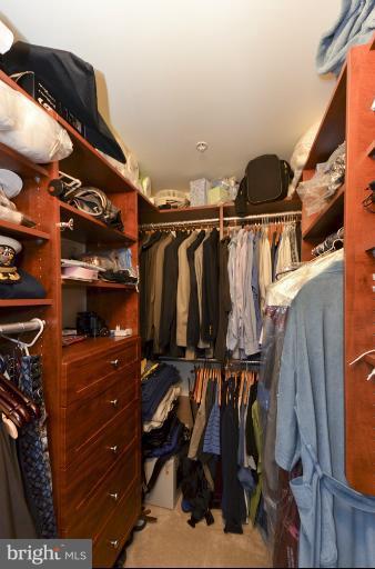 3600 South Glebe Road, Unit 429W Arlington, VA 22202 - Photo 23 of 30 Bedroom (Master)