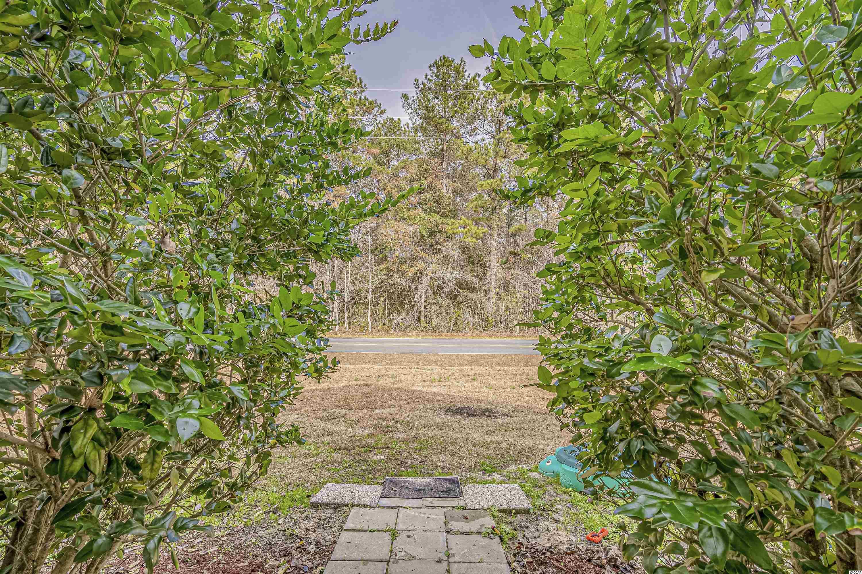 290 Blue Rock Drive Longs, SC 29568 - Photo 29 of 38