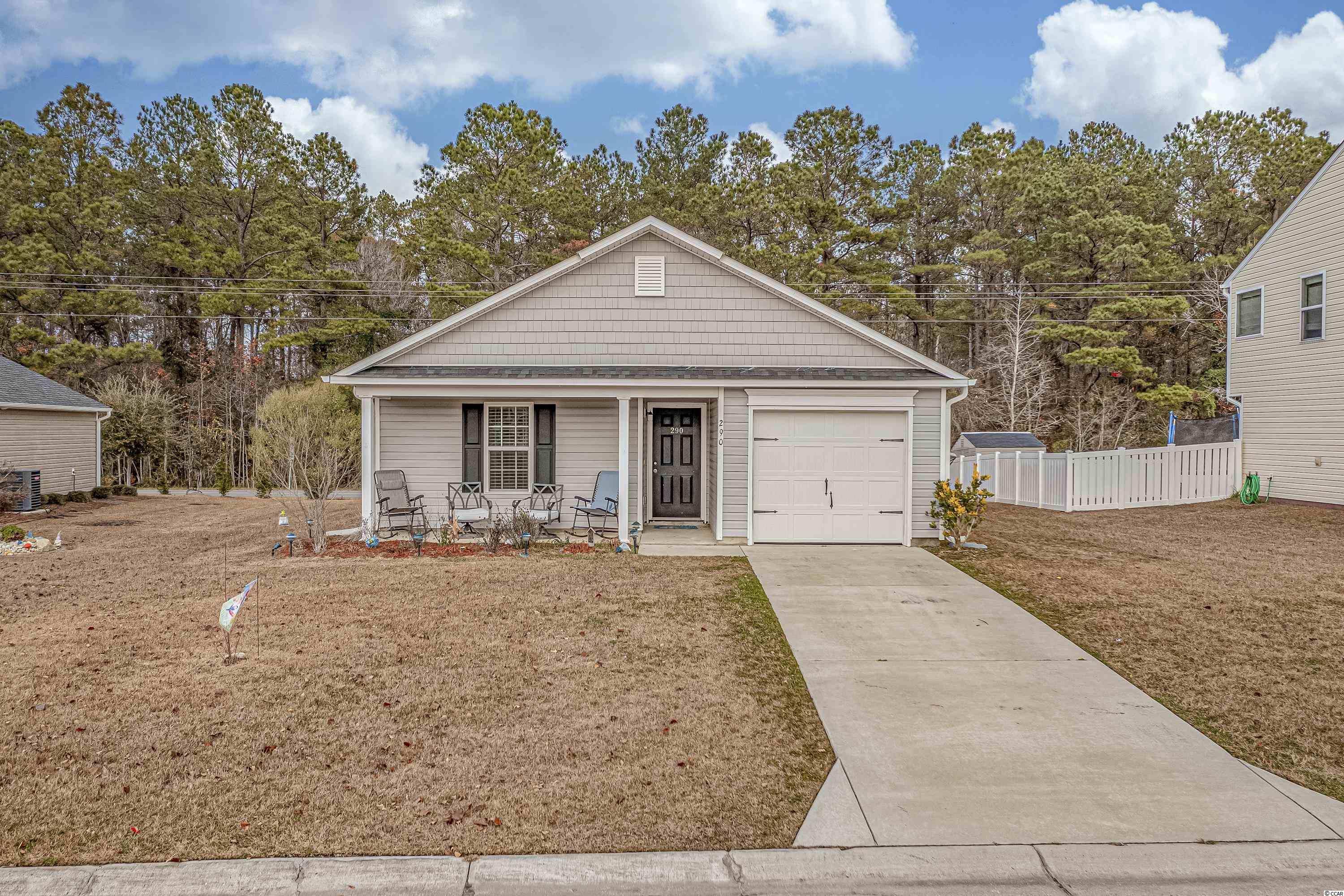 290 Blue Rock Drive Longs, SC 29568 - Photo 3 of 38