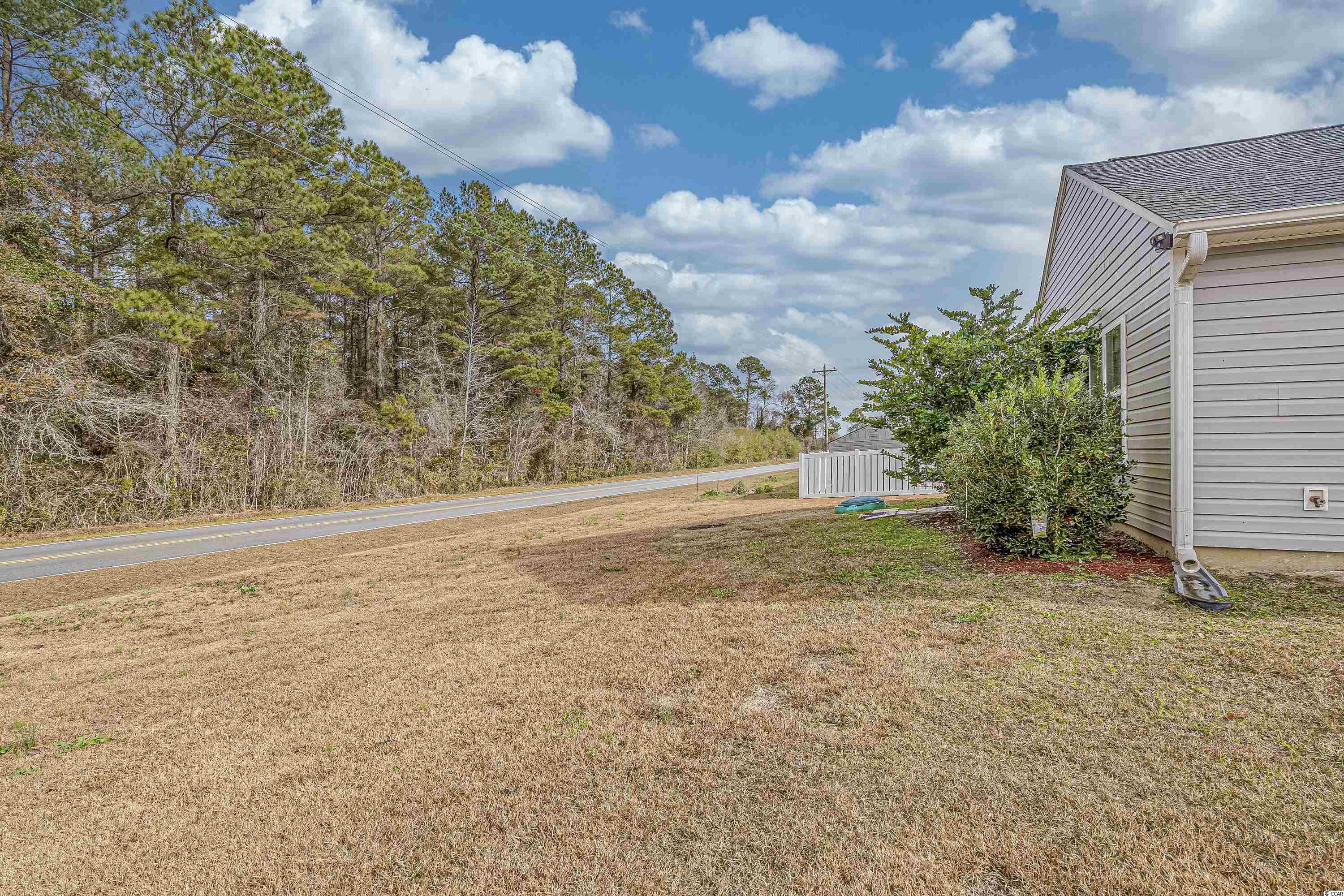 290 Blue Rock Drive Longs, SC 29568 - Photo 32 of 38