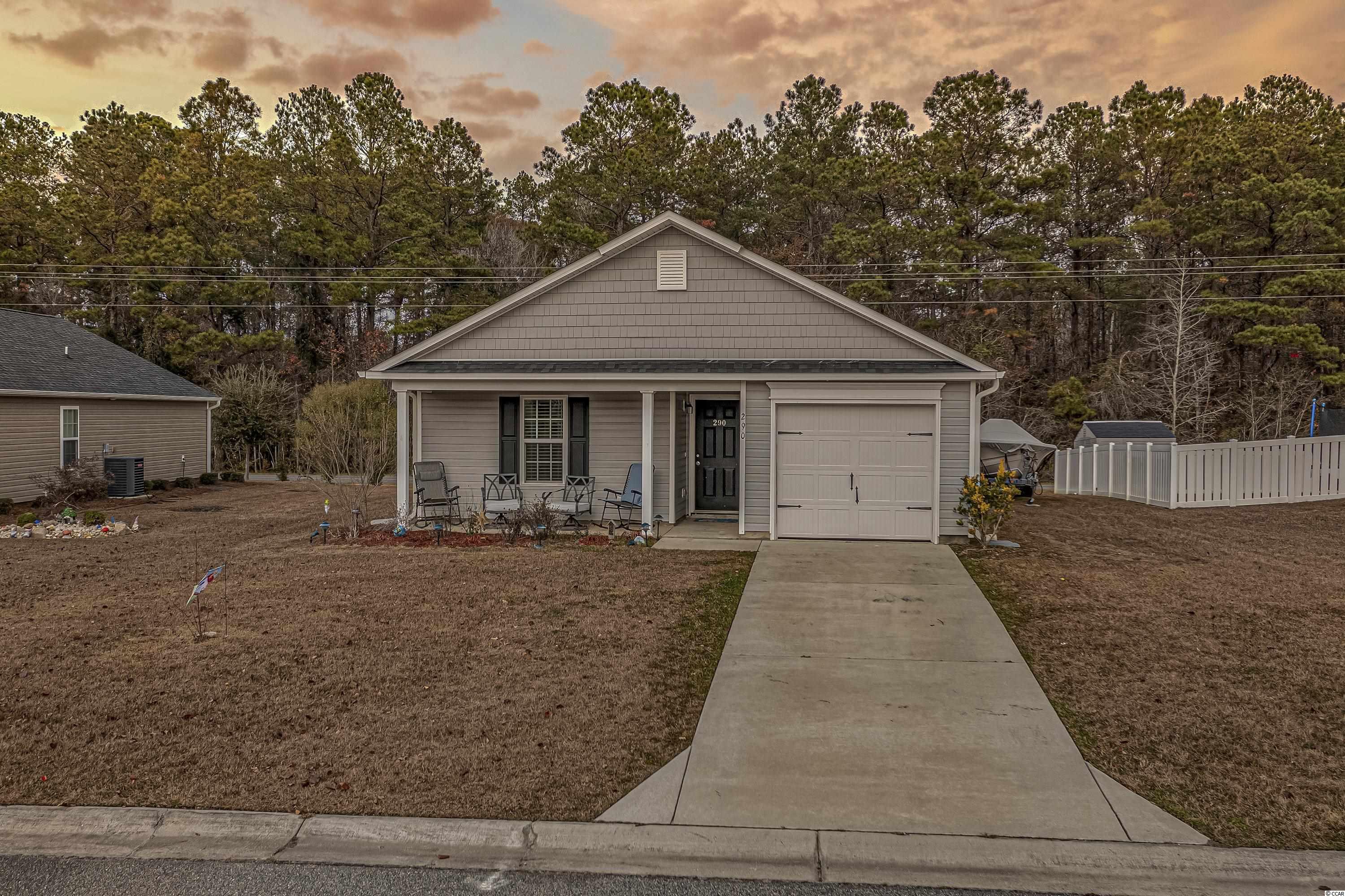 290 Blue Rock Drive Longs, SC 29568 - Photo 4 of 38
