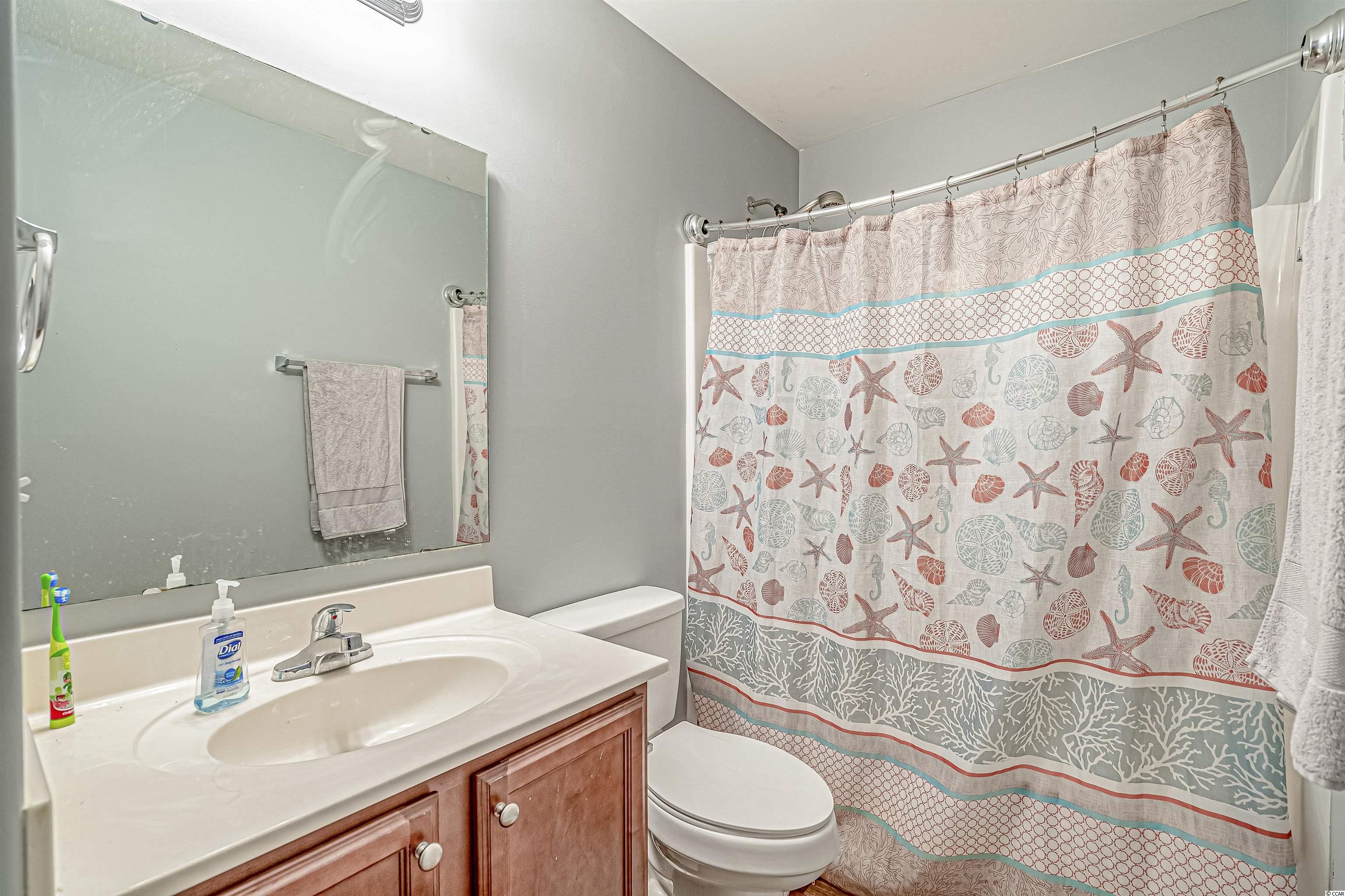 290 Blue Rock Drive Longs, SC 29568 - Photo 10 of 38