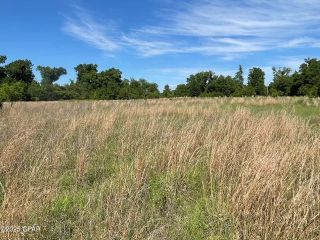 $1,701,000 | 0 Blue Springs Road, Greenwood, FL 32443