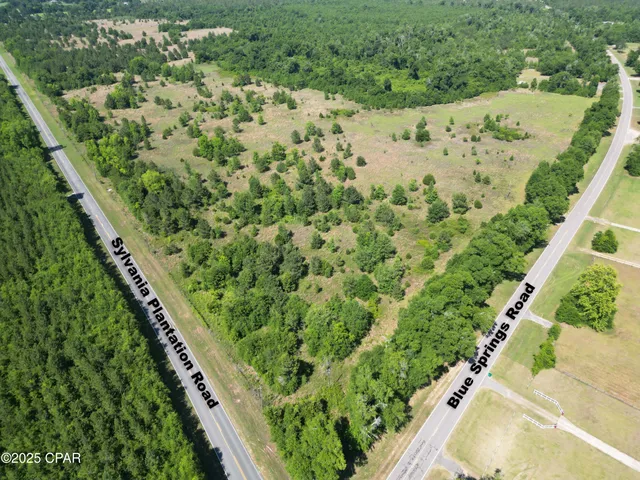 $1,701,000 | 0 Blue Springs Road, Greenwood, FL 32443