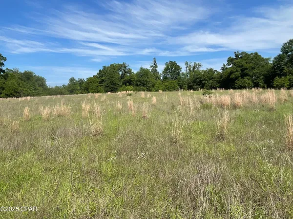 $1,562,400 | 0 Blue Springs Road, Greenwood, FL 32443