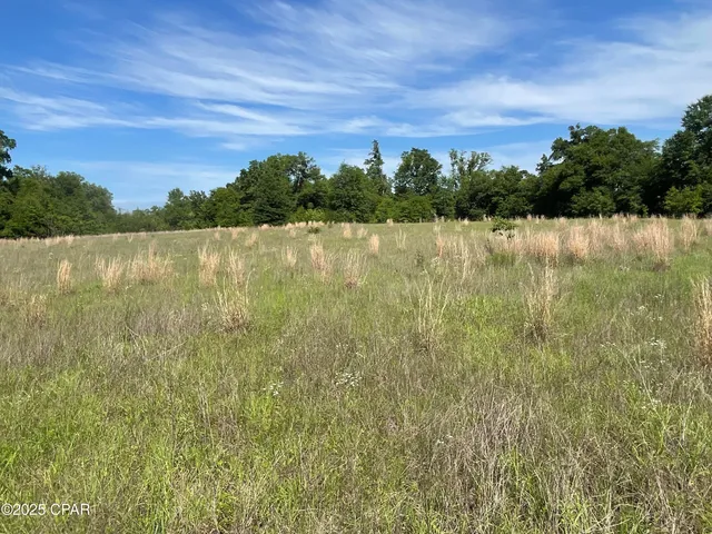 $1,701,000 | 0 Blue Springs Road, Greenwood, FL 32443