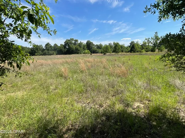 $1,701,000 | 0 Blue Springs Road, Greenwood, FL 32443