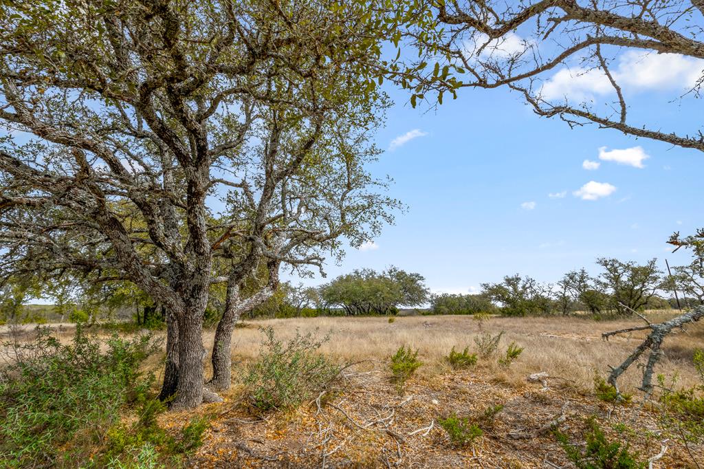 1249 Lester Ln Junction, Unit 18 Junction, TX 76849 - Photo 11 of 19 a view of lake