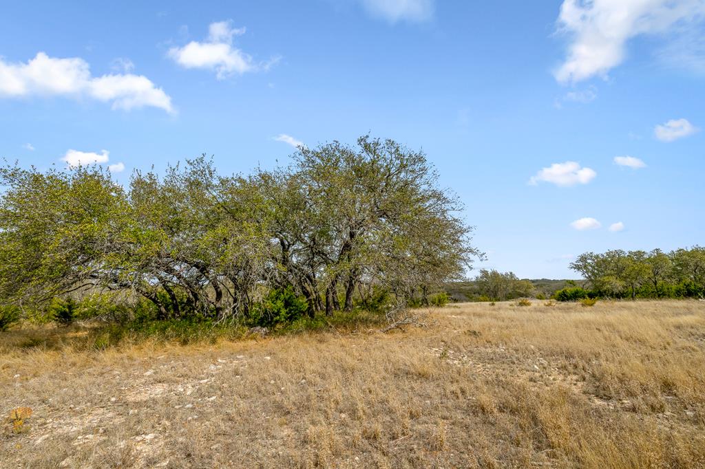 1249 Lester Ln Junction, Unit 18 Junction, TX 76849 - Photo 13 of 19 a view of lake view and mountain view