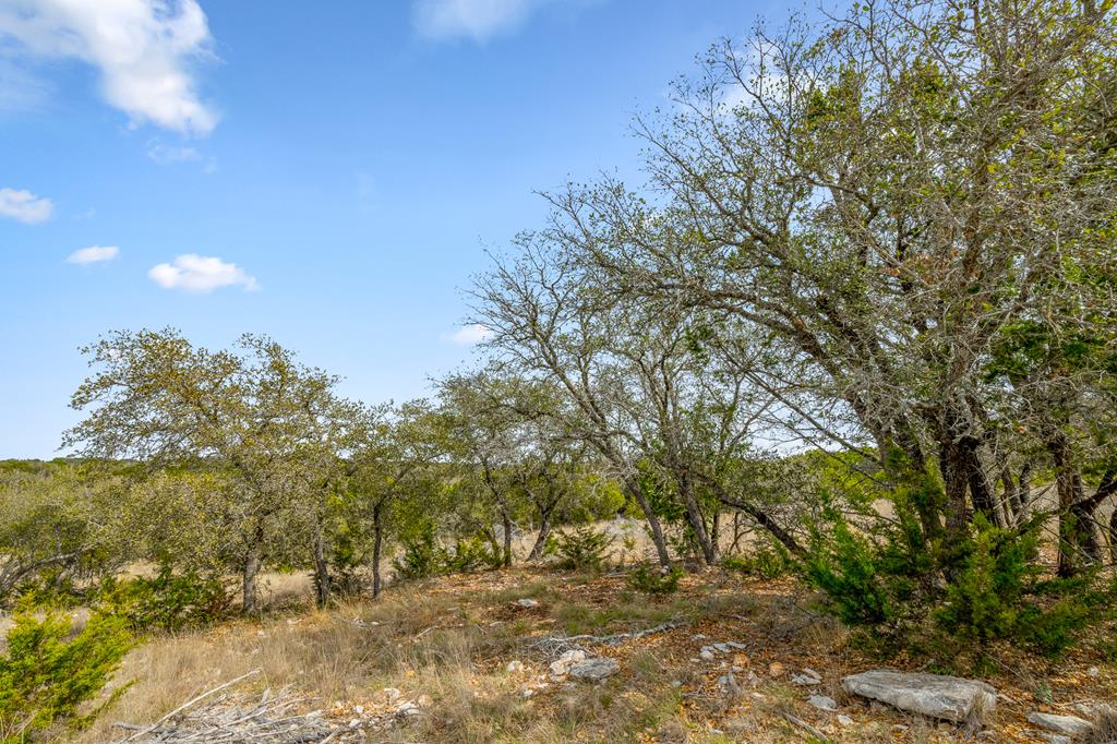 1249 Lester Ln Junction, Unit 18 Junction, TX 76849 - Photo 14 of 19 a view of outdoor space and yard