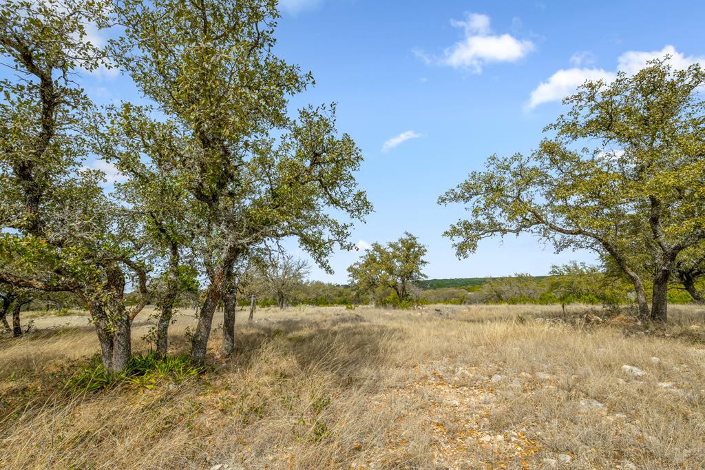 1249 Lester Ln Junction, Unit 18 Junction, TX 76849 - Photo 16 of 19 a view of yard with trees