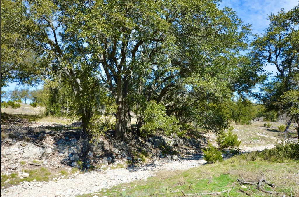 1249 Lester Ln Junction, Unit 18 Junction, TX 76849 - Photo 5 of 19 a view of a yard