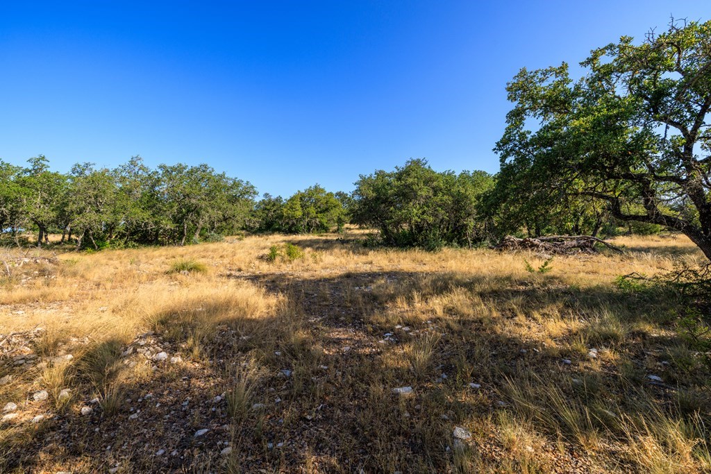 1249 Lester Ln Junction, Unit 18 Junction, TX 76849 - Photo 8 of 19 a view of lake with green space
