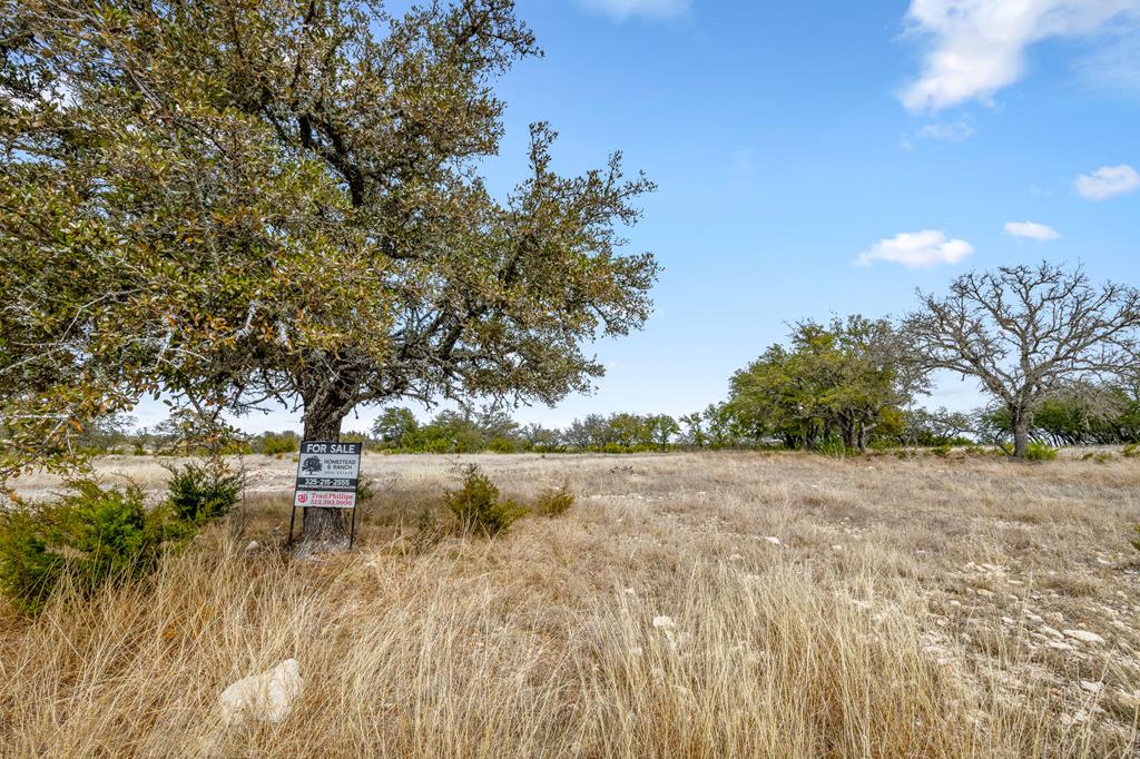 1249 Lester Ln Junction, Unit 18 Junction, TX 76849 - Photo 10 of 19 a view of yard with trees