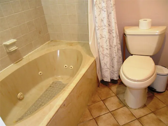 a bathroom with a toilet and a bathtub