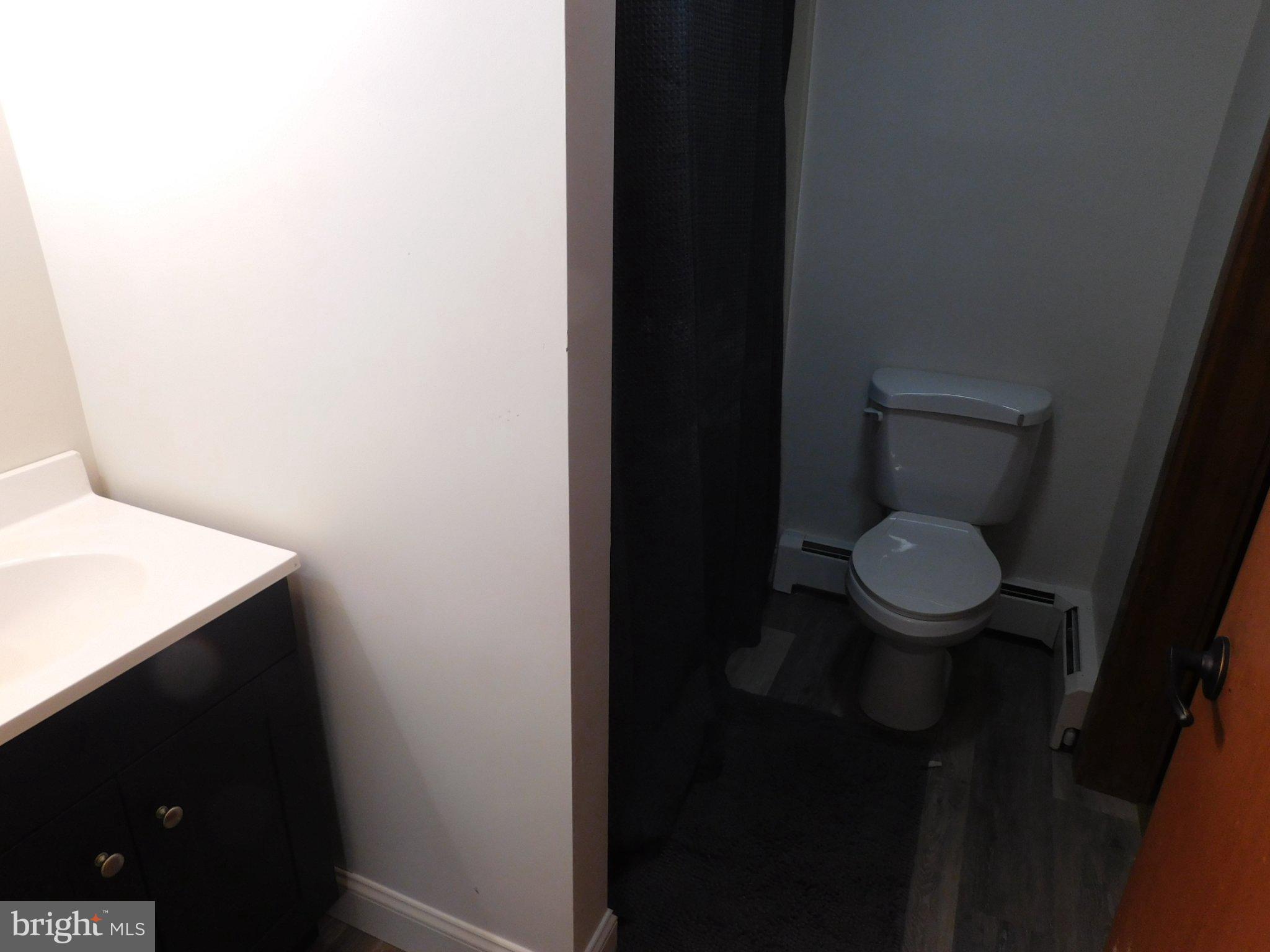 700 Whiskey Road McClure, PA 17841 - Photo 19 of 32 Modern bathroom with sleek design.
