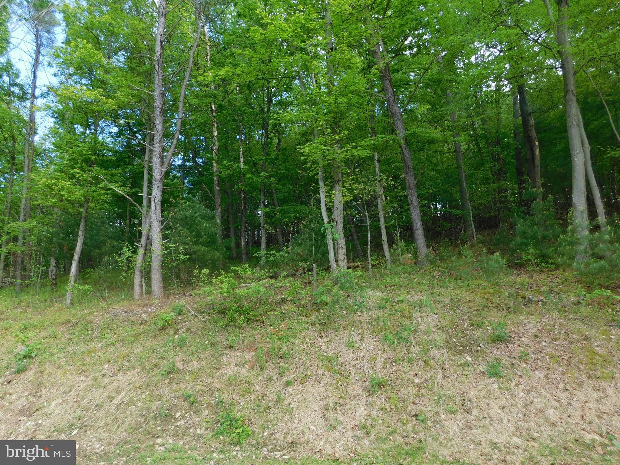 700 Whiskey Road McClure, PA 17841 - Photo 22 of 32