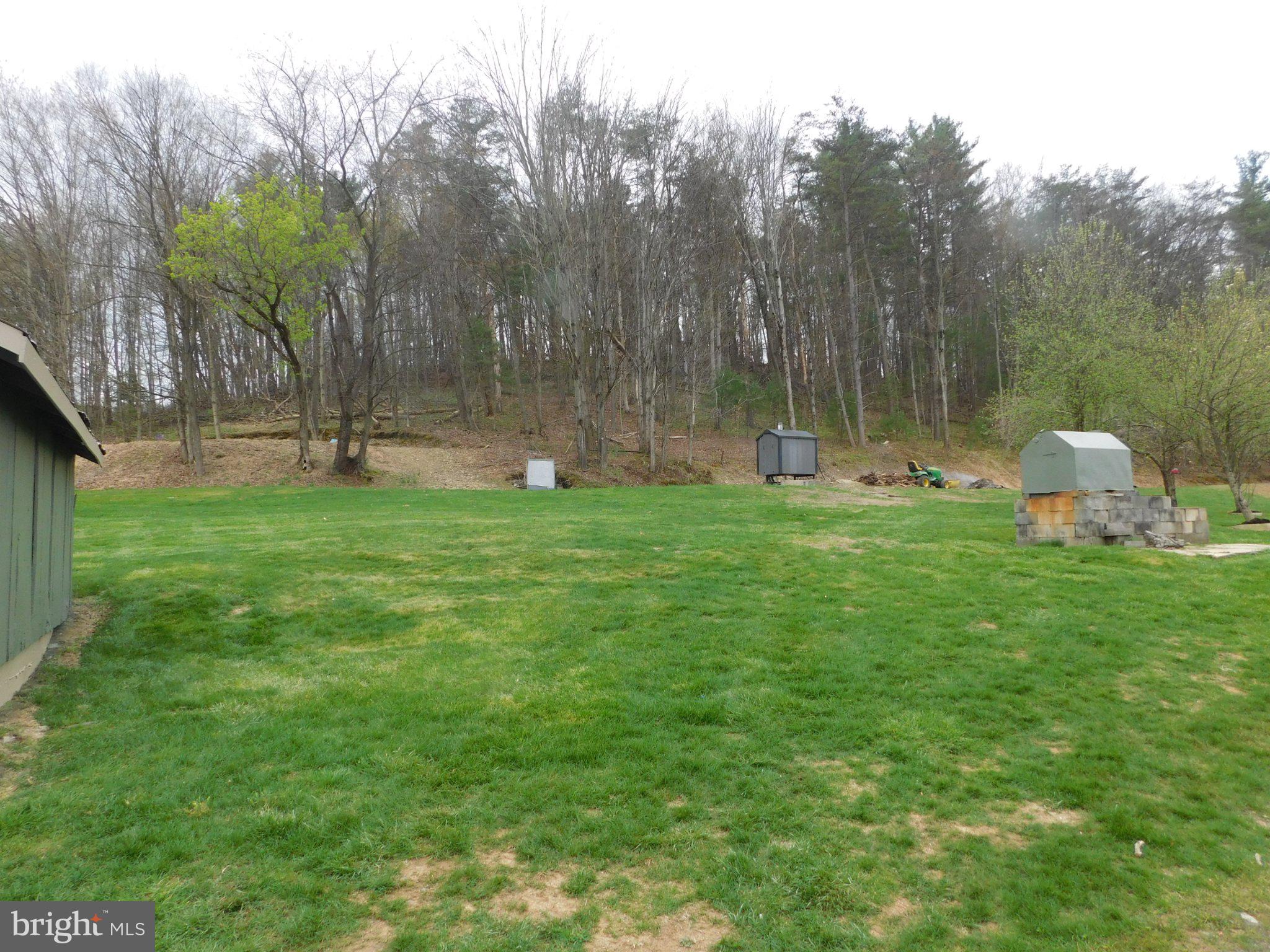 700 Whiskey Road McClure, PA 17841 - Photo 8 of 32 Spacious green yard with wooded backdrop.