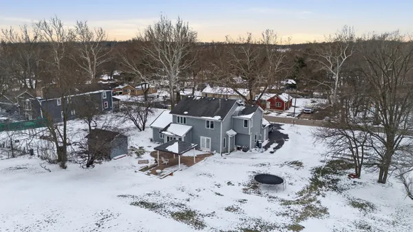 a view of a dry yard with large tree