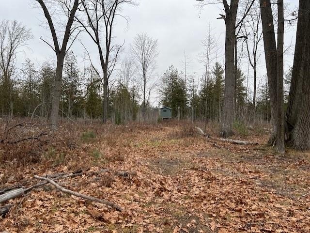 0 North Miller Road East Tawas, MI 48730 - Photo 19 of 23