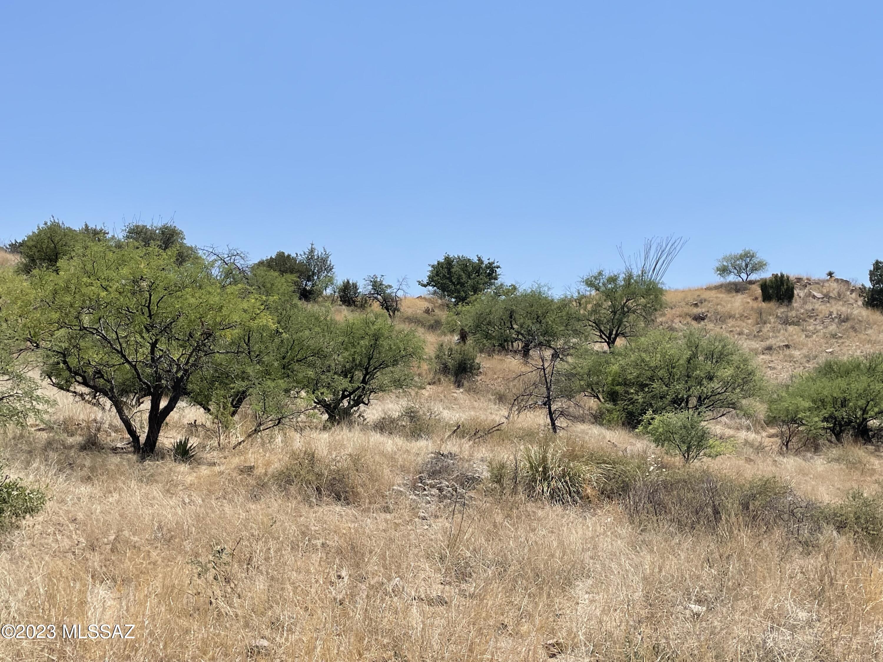 0 Montezuma Well Road, Unit 162 Rio Rico, AZ 85648 - Photo 26 of 26