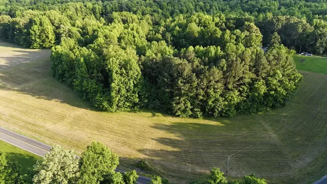 $55,000 | 0 Old Samburg Road, Hornbeak, TN 38232