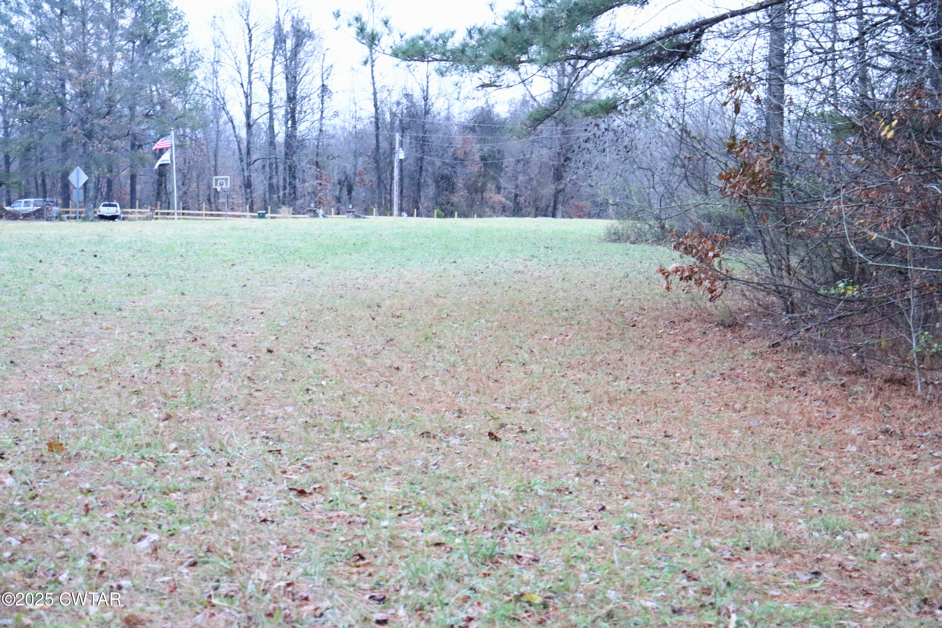 0 Old Samburg Road Hornbeak, TN 38232 - Photo 11 of 18 a view of a yard with an trees